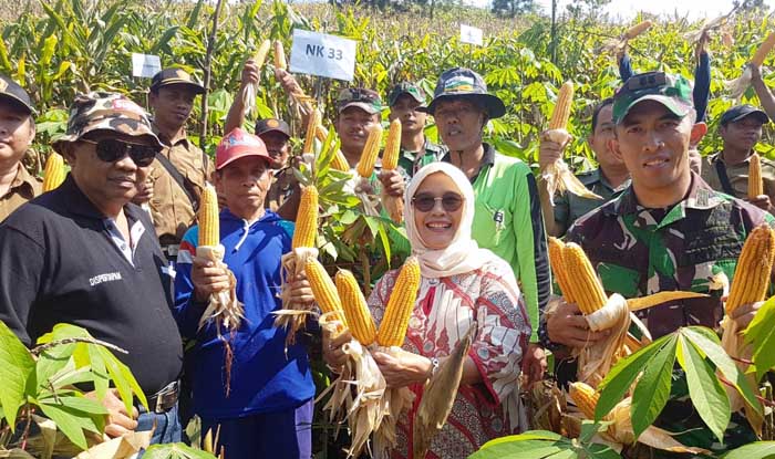 Butuh Pemipil Jagung, Petani Trenggalek `Curhat` ke Direktur Ditjen PSP